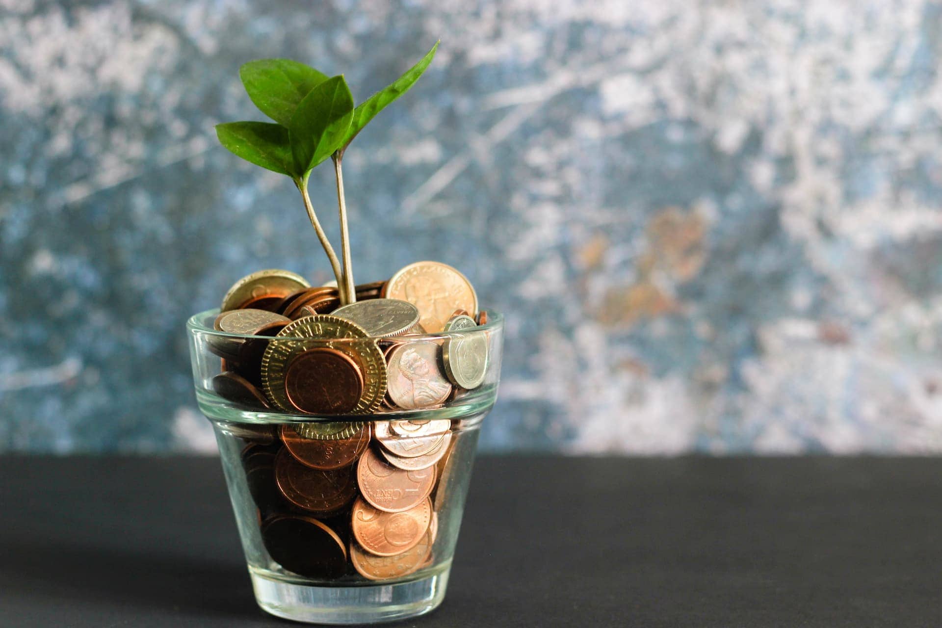 A glass jar on a table full of coins with a baby plant growing out of the top.